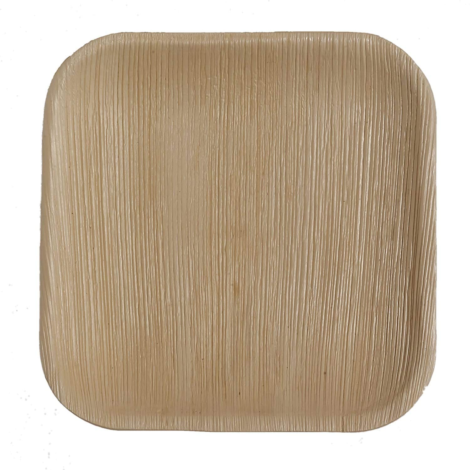 Eco-Friendly 8 Inch Square Palm Leaf Plates - 25 Pc Compostable & Biodegradable Disposable Dinnerware for Parties, Picnics, and Outdoor Events