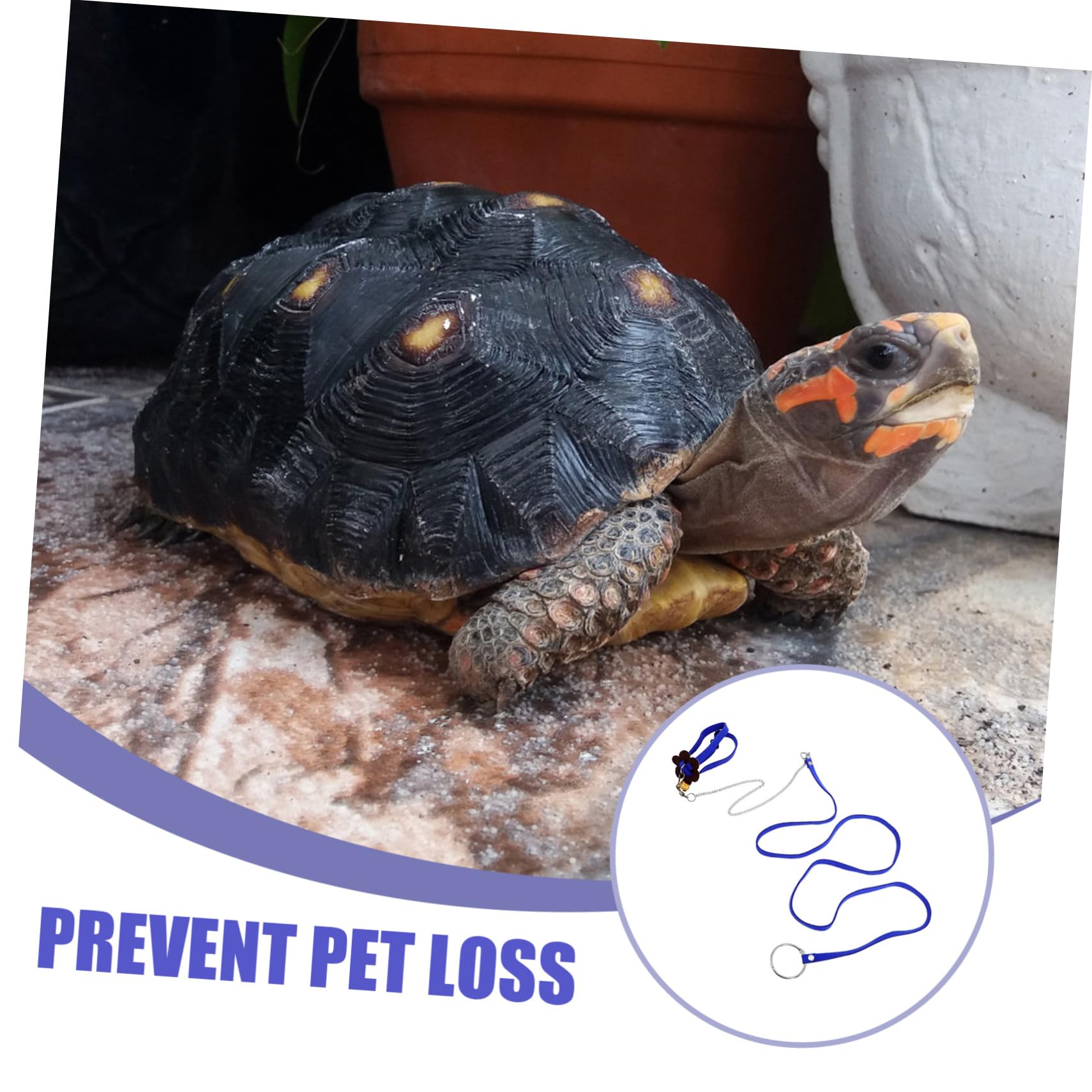 Turtle Leash for Walking - Tortoise Pulling Rope - Pet Supplies for Outdoor Adventures