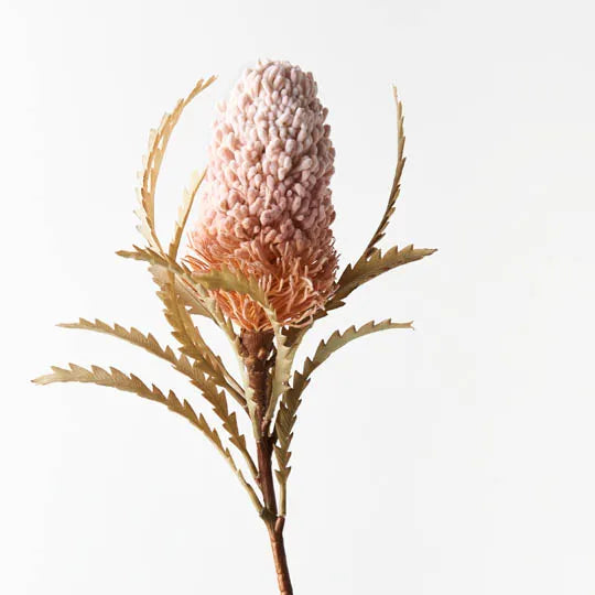 Banksia Acorn in Light Pink - Natural Decorative Pods for Home Decor, Wedding Centerpieces, and DIY Crafts