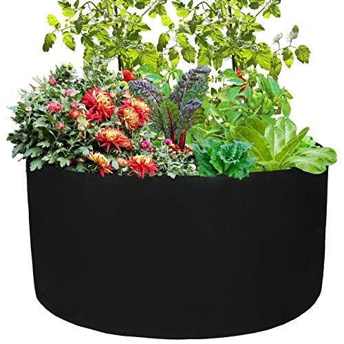 Black-2pcs