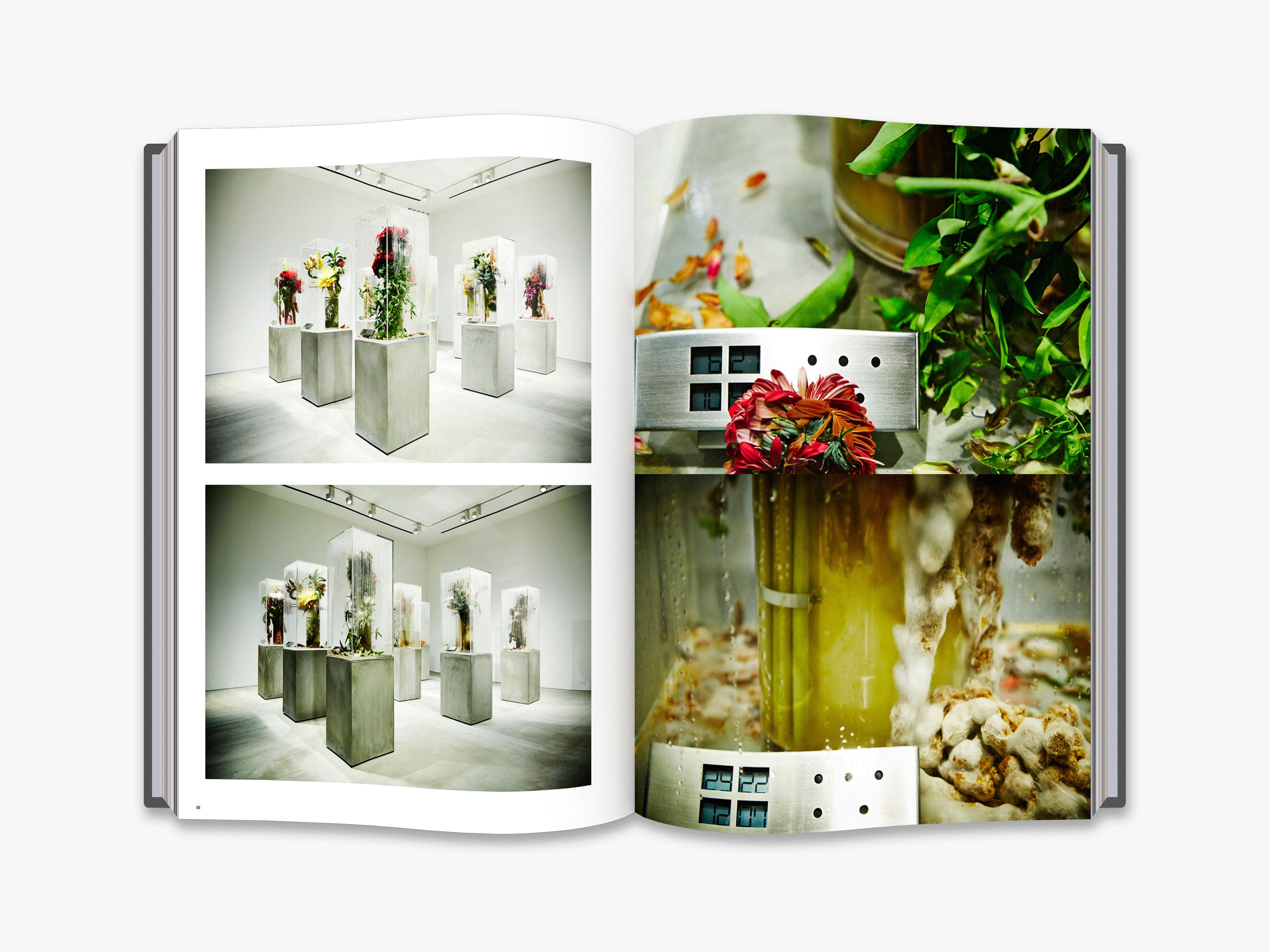 Makoto Azuma Flower Art - Unique Botanical Sculptures & Floral Arrangements for Home Decor, Wedding Centerpieces & Modern Art Displays