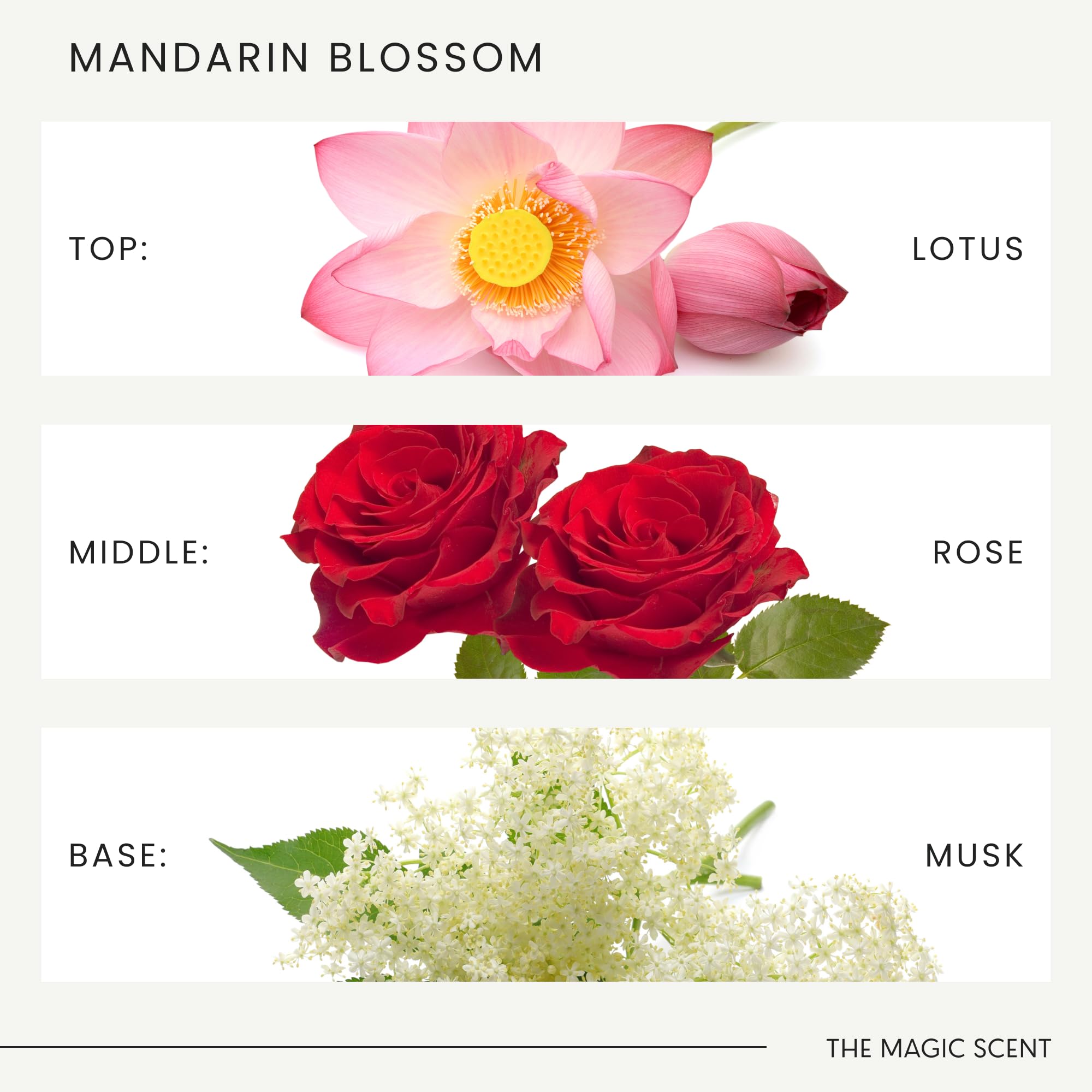 Premium Mandarin Blossom Essential Oil for Diffusers - 500ml Aromatherapy Oil for HVAC & Cold-Air Diffusers - Inspired by St. Regis Maldives - Perfect for Hotels, Spas, and Home Relaxation - Create Luxury Spa Atmosphere in Your Living Room, Bedroom or Office