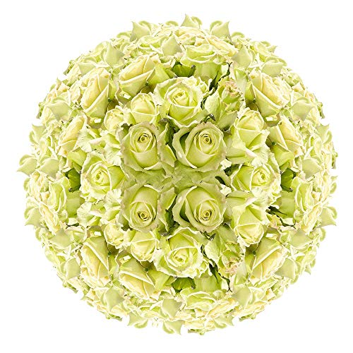 200 Premium Green Jade Roses in Bulk - Fresh Artificial Silk Flowers for Wedding Bouquets, Home Decor, and Event Centerpieces