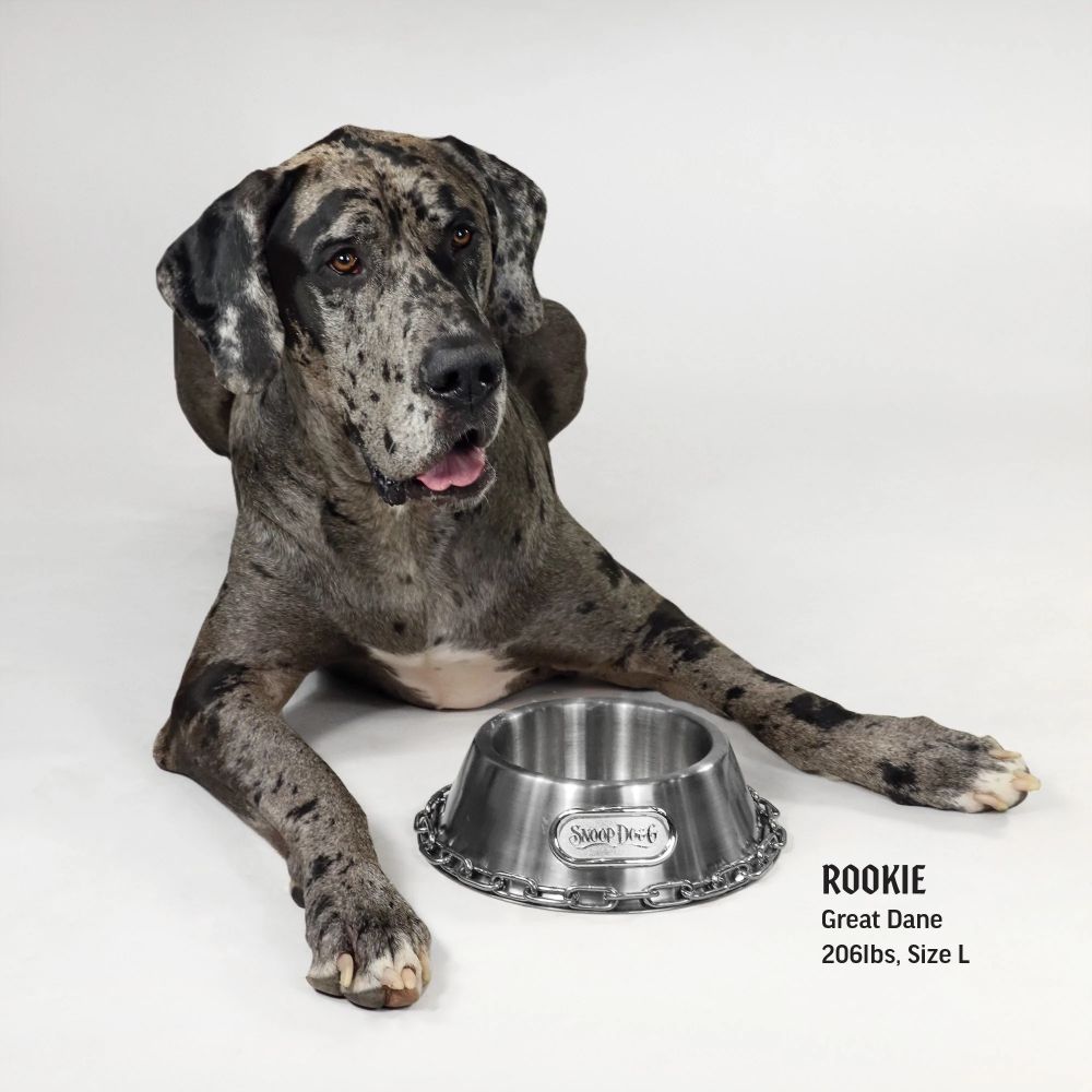 Premium Stainless Steel Pet Bowl with Non-Slip Base - Durable Dog & Cat Food Water Dish for Indoor/Outdoor Use - Perfect for Mealtime, Travel, and Outdoor Adventures