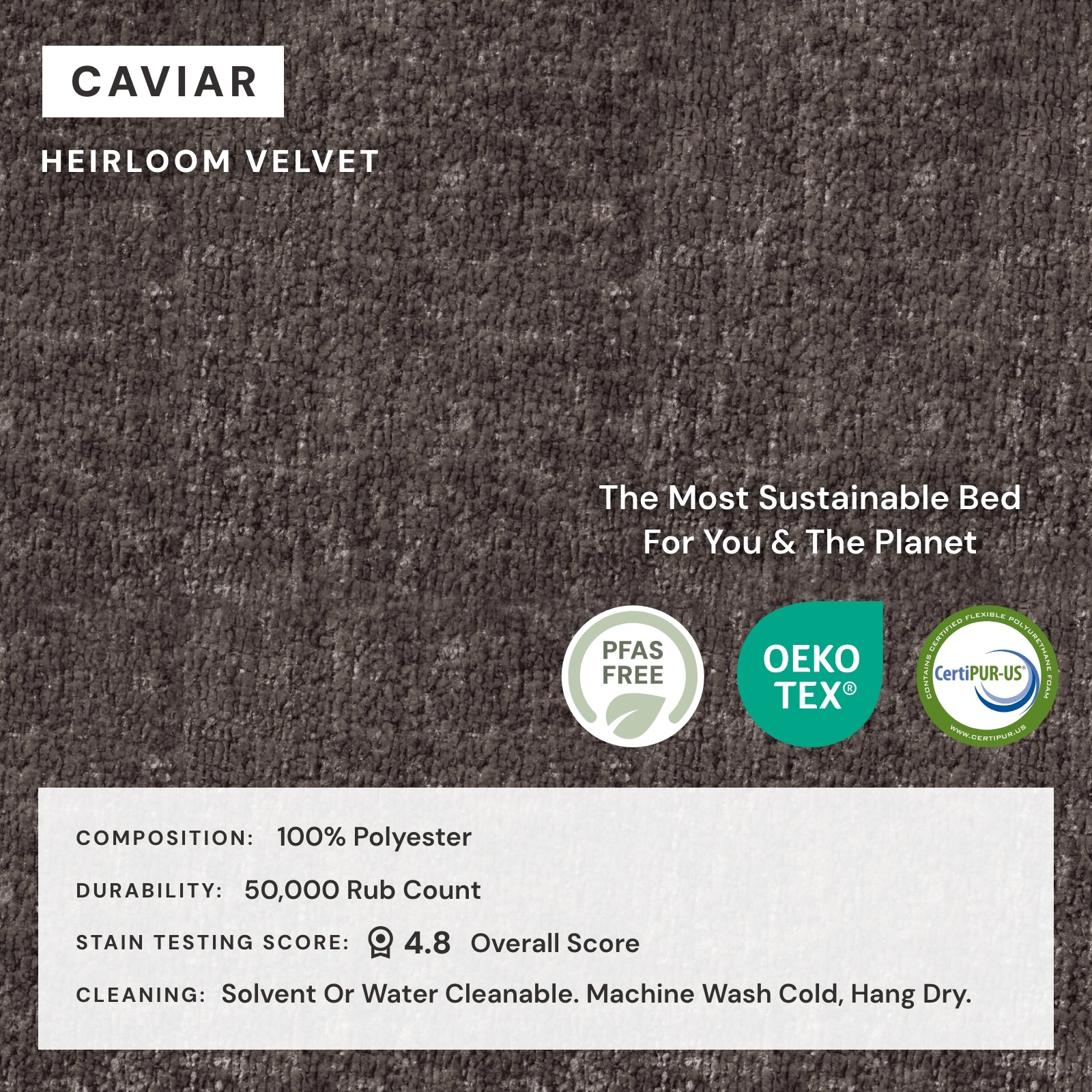 King Upholstered Platform Bed Frame with Heirloom Velvet in Caviar - Luxurious Modern Bedroom Furniture for Master Suite or Guest Room