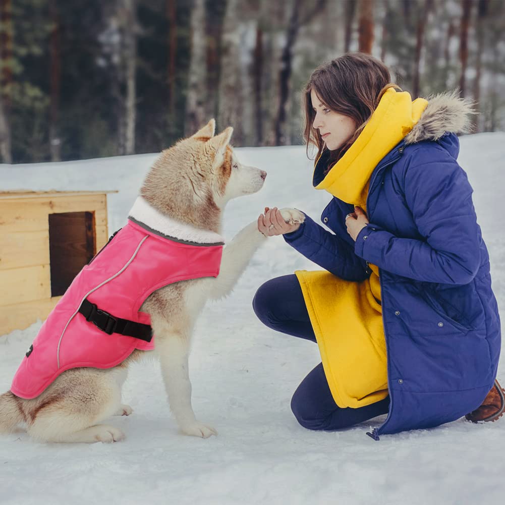 EMUST Waterproof Winter Dog Coat - Adjustable Small/Medium/Large Dog Jacket for Cold Weather, Pink Size L | Warm Snow Protection for Small Dogs Outdoor Walking & Winter Adventures