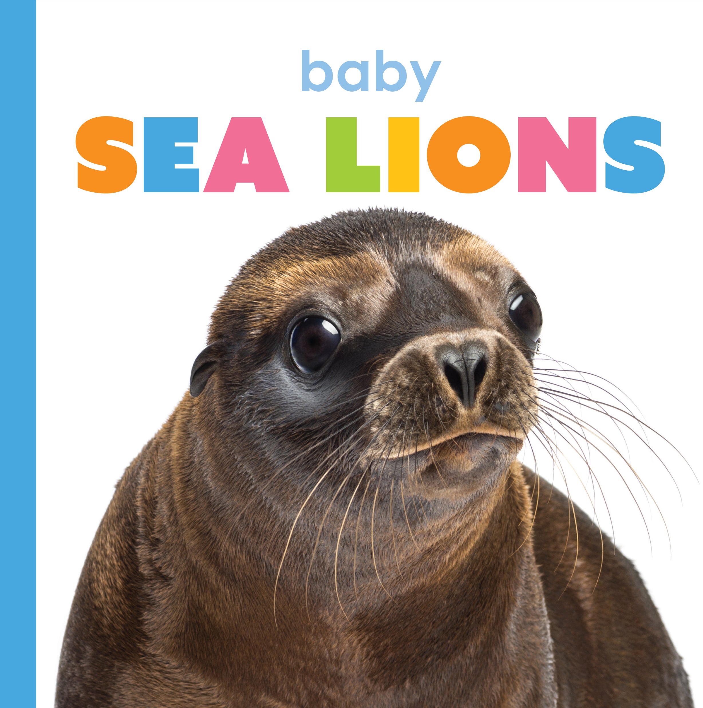 Baby Sea Lions Book - ISBN 978-1-64026-355-0 | Children's Marine Life Educational Story | Perfect for Bedtime Reading & Classroom Learning