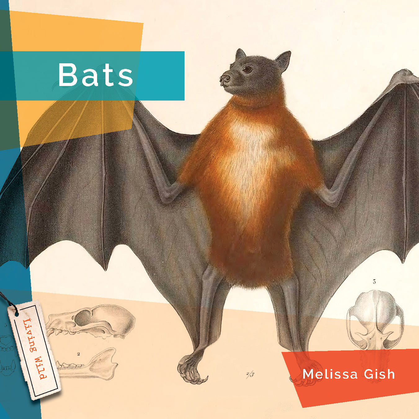 Bats: Fascinating Facts and Photos - 9781640265950 | Wildlife Book for Nature Lovers & Kids | Perfect for Homeschooling & Animal Research Projects