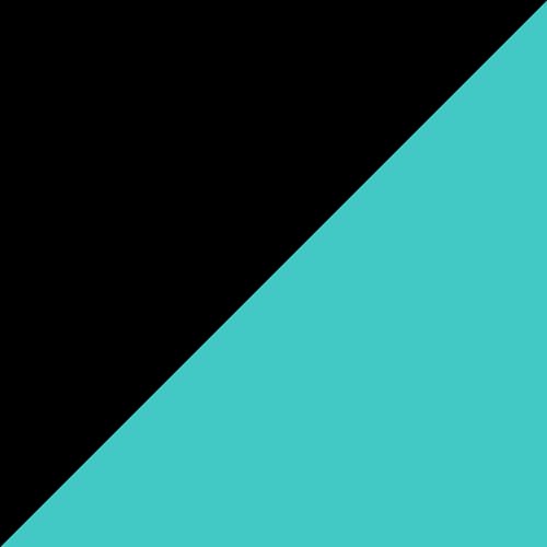 Aqua/Black