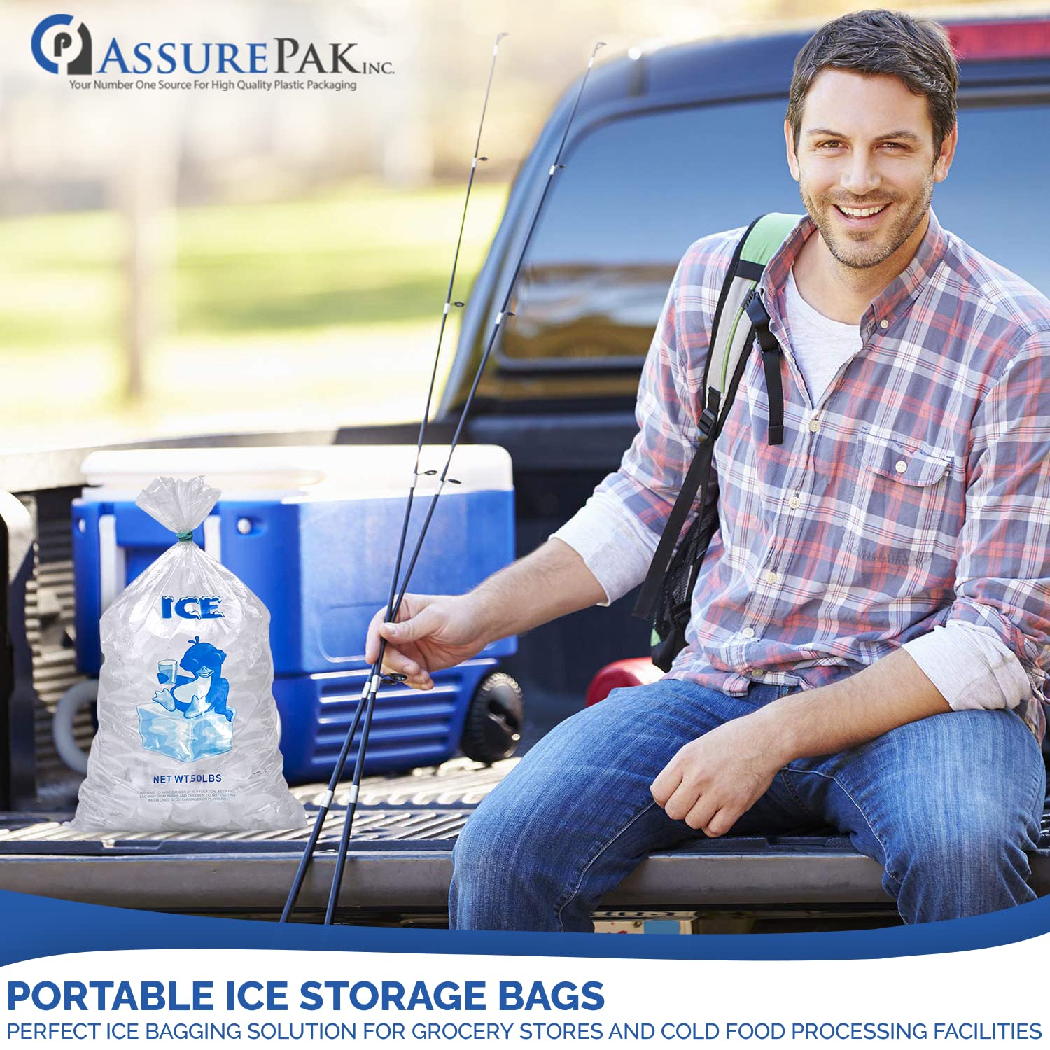 50LB Clear Plastic Ice Bags - 250 Bags per Case (18