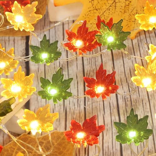 Maple Leaf
