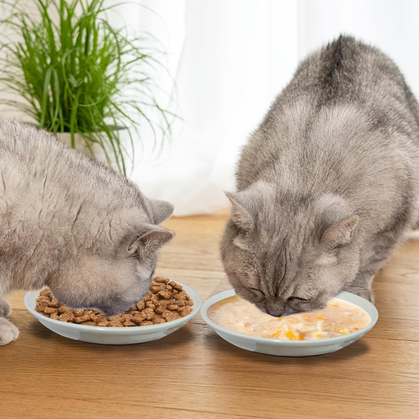 3Pcs Ceramic Cat Food Bowls with Non-Slip Silicone Base - Anti Whisker Fatigue Shallow Dishes for Dry & Wet Food - Perfect for Indoor Cats & Kittens - Ideal for Mealtime Comfort and Easy Cleaning