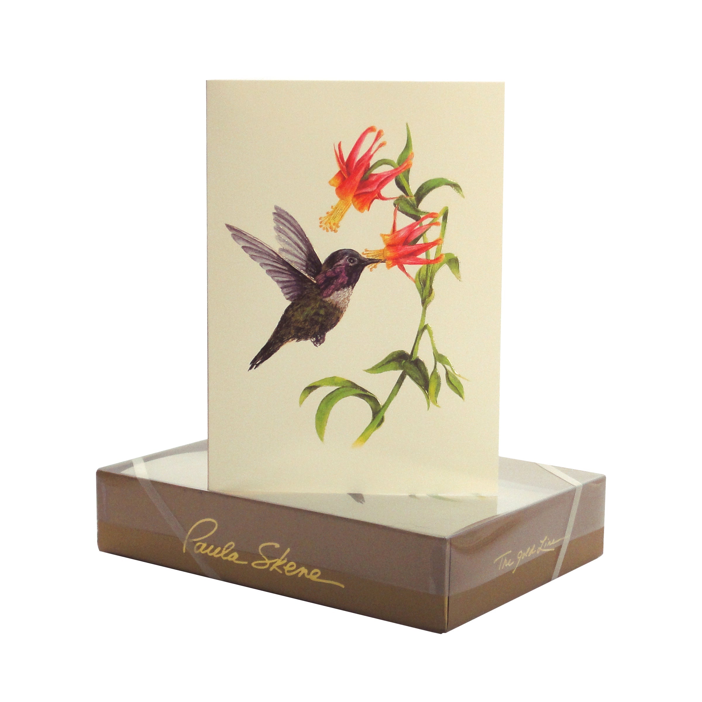 Hummingbird Note Cards - Set of 8 Handmade Greeting Cards with Floral Designs | Perfect for Thank You Notes, Birthday Cards & Special Occasions