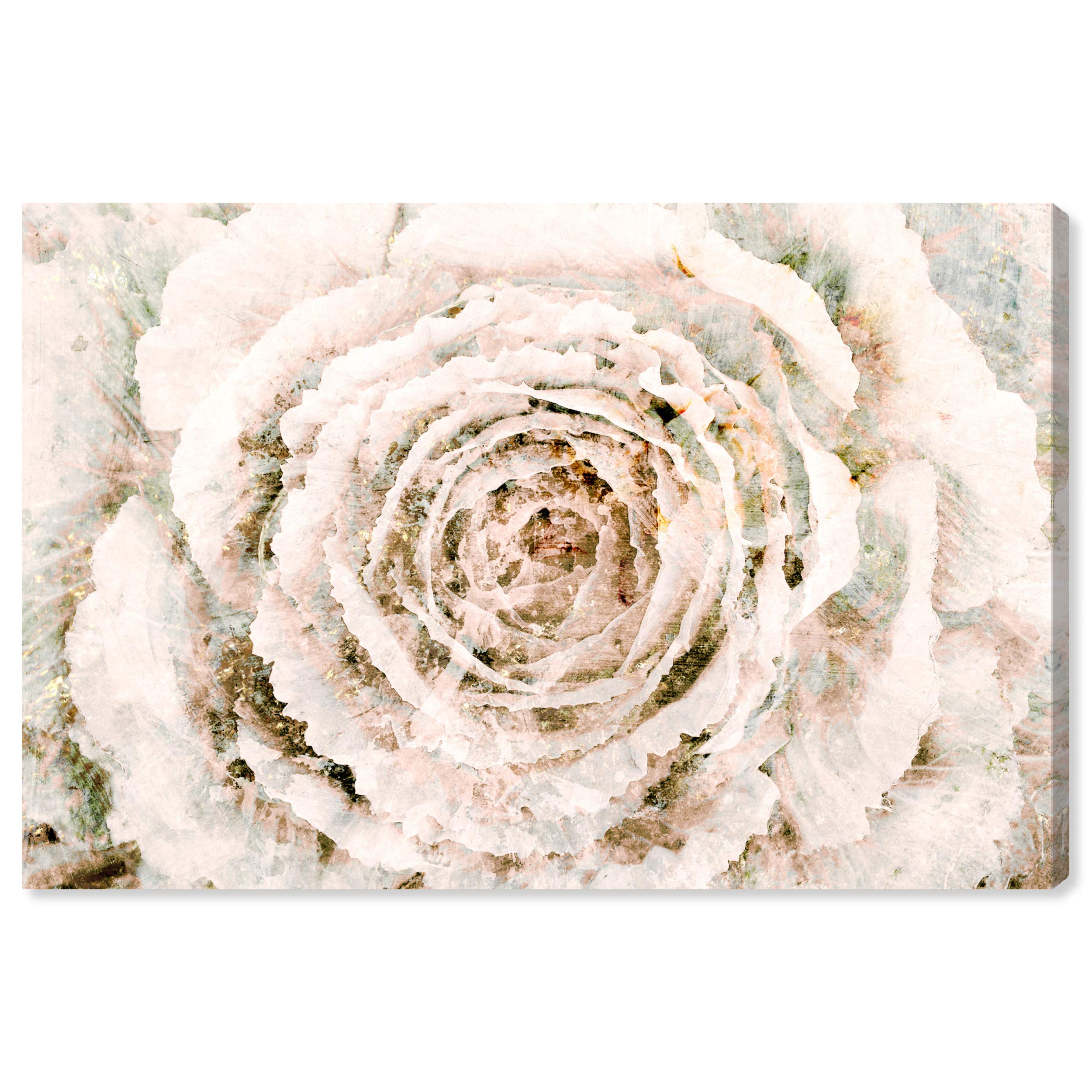 Oliver Gal Floral Wall Art Canvas Print - Winter Flower Home Decor, 36x24 Inches, White & Brown - Perfect for Living Room, Bedroom & Office Decor