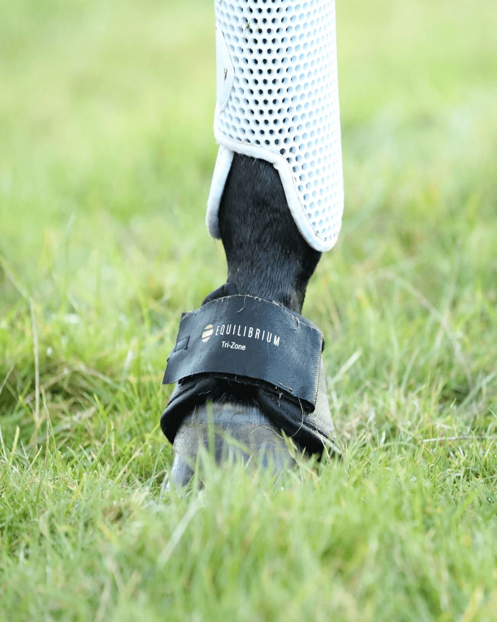 Equilibrium Tri Zone Over Reach Boots for Horses - Premium Horse Riding Boots for Protection & Comfort - Ideal for Jumping, Dressage & Training