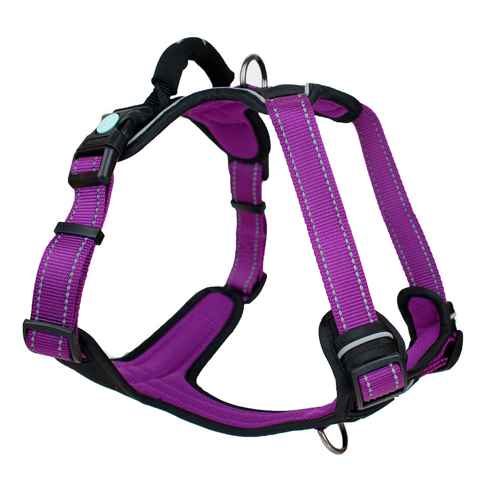Huskimo Ultimate No-Pull Dog Harness with Reflective Strips - Adjustable Pet Vest for Small Medium Large Dogs - Perfect for Walking, Running, Hiking & Outdoor Adventures (Aurora)