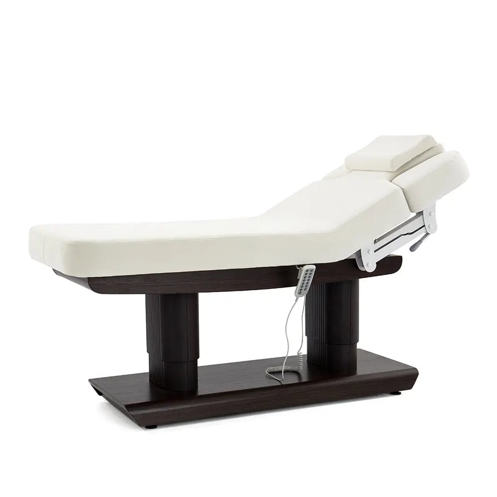 Electric Spa and Massage Bed - Professional Relaxation & Therapy for Home, Salon or Spa - Perfect for Pain Relief, Stress Reduction and Full Body Massage