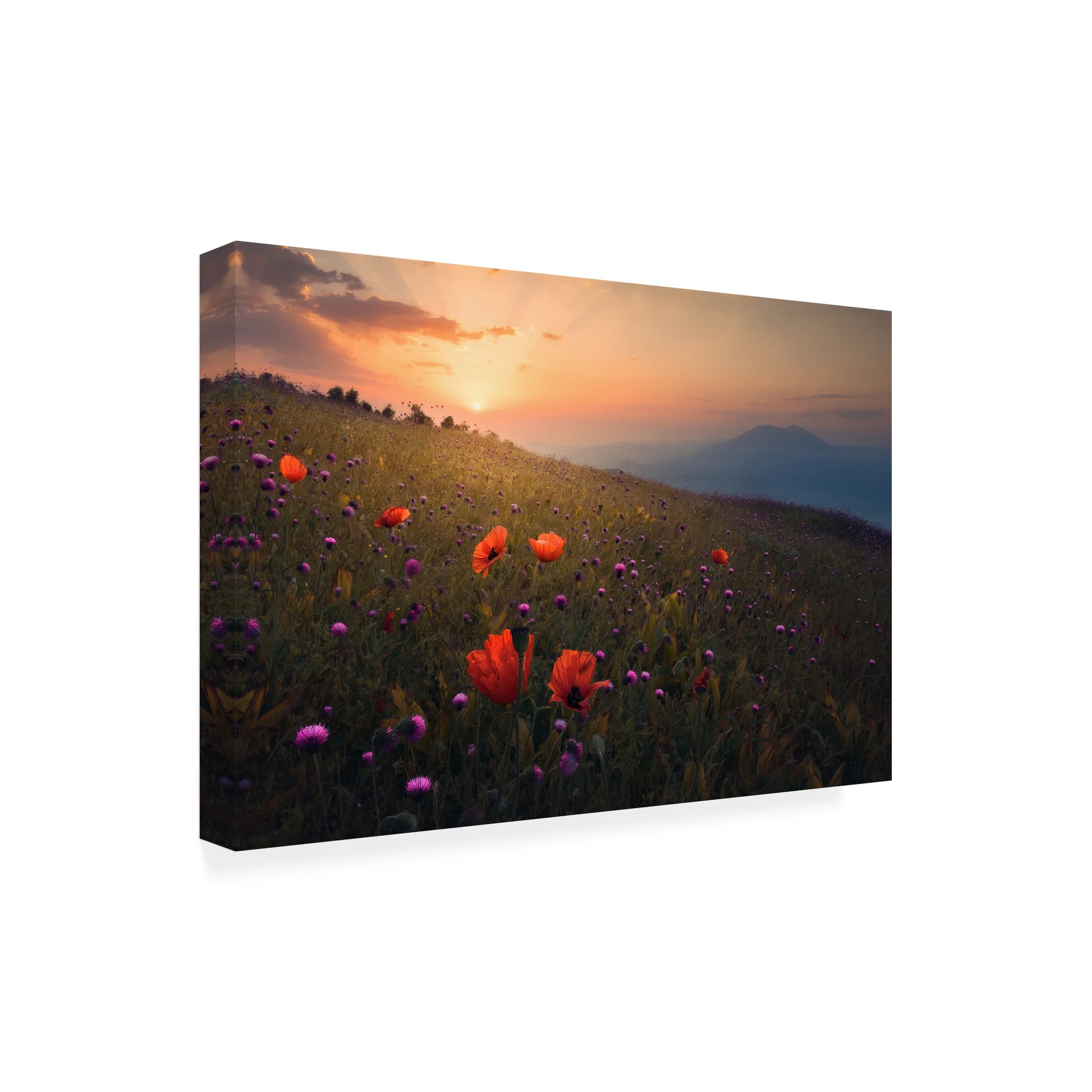 Trademark Fine Art 'Rudbar Heights In Spring' Canvas Wall Art Print by Majid Behzad - Persian Landscape Painting for Living Room, Bedroom & Office Decor