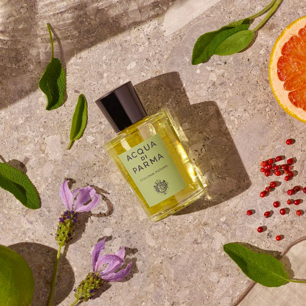 Acqua Di Parma Colonia Futura 3.4 oz Eau de Cologne for Men - Fresh Citrus & Woody Scent, Long-Lasting Fragrance for Daily Wear & Special Occasions