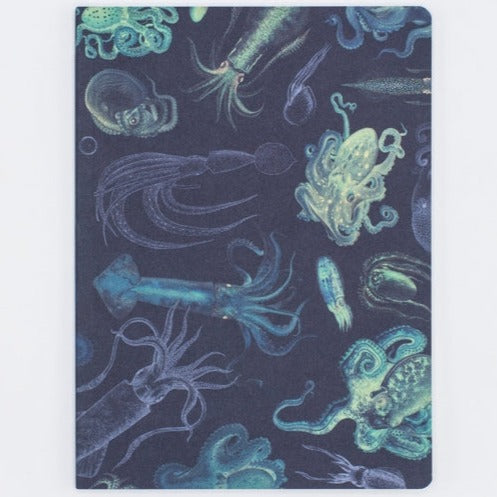 Premium Cephalopods Octopus & Squid Softcover Lined Notebook - Perfect for Marine Biology Notes, Journaling & Gift Giving