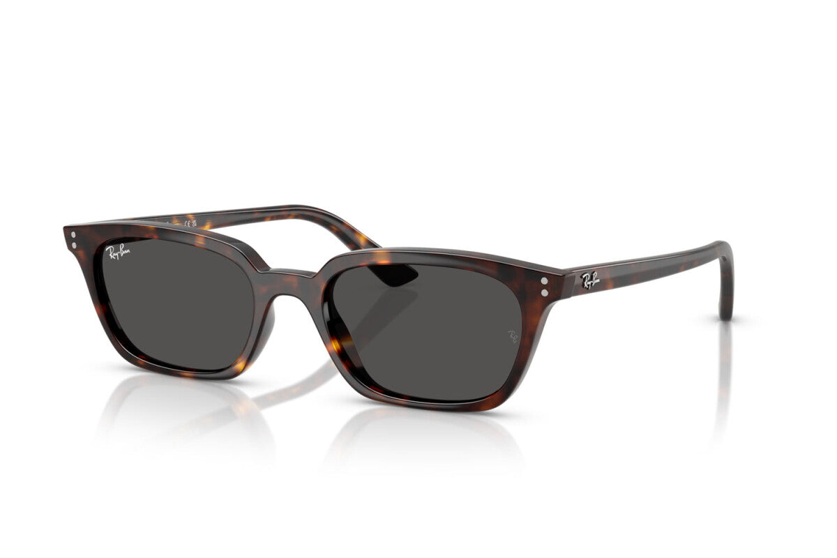 Ray Ban Zaya Havana Sunglasses - Polarized Aviator Style for Men & Women - Perfect for Driving, Travel, and Outdoor Adventures