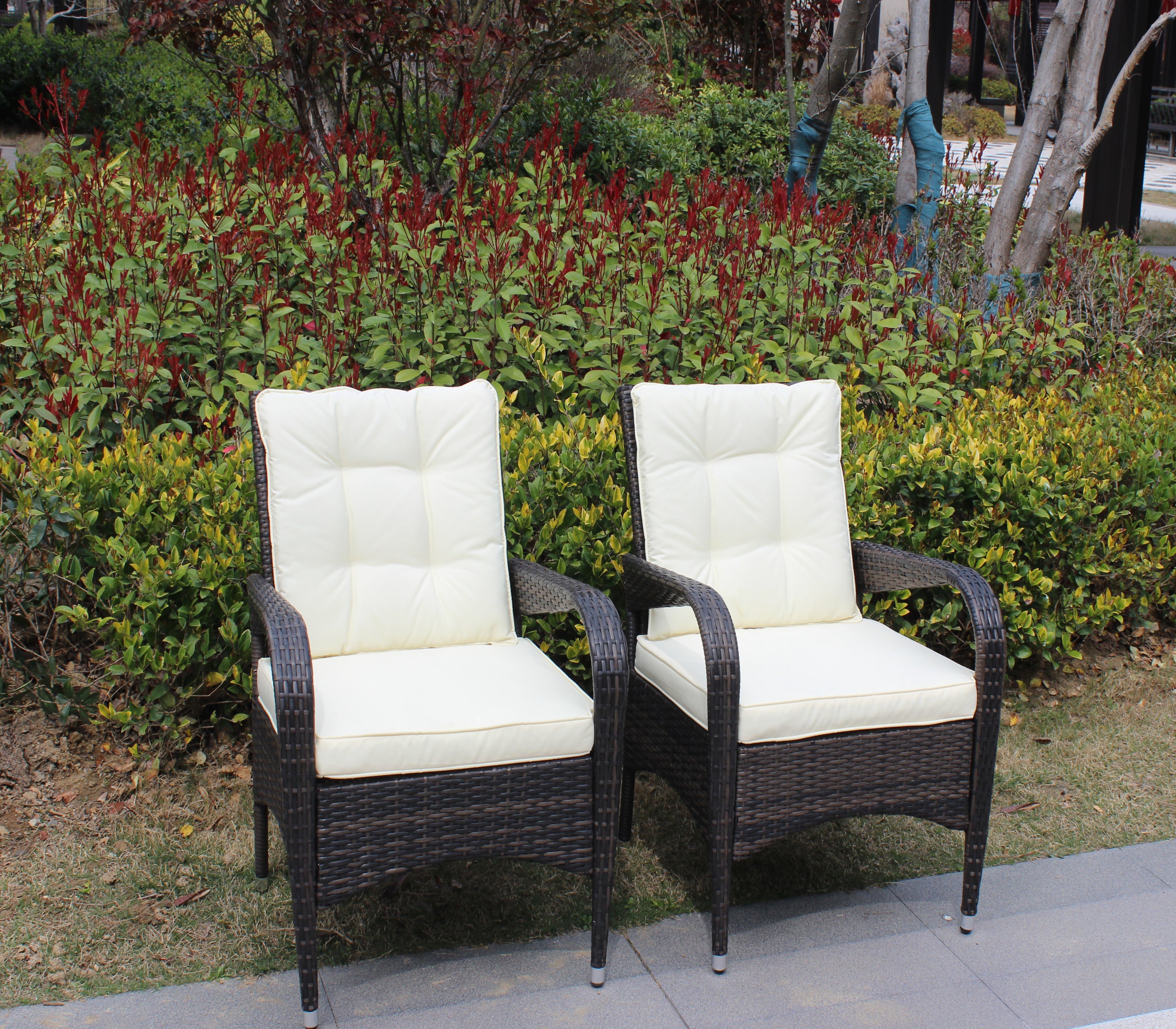 2 Piece Liberatore Dining Chairs with Beige Cushions - Modern Kitchen & Dining Room Furniture Set for Home Decor