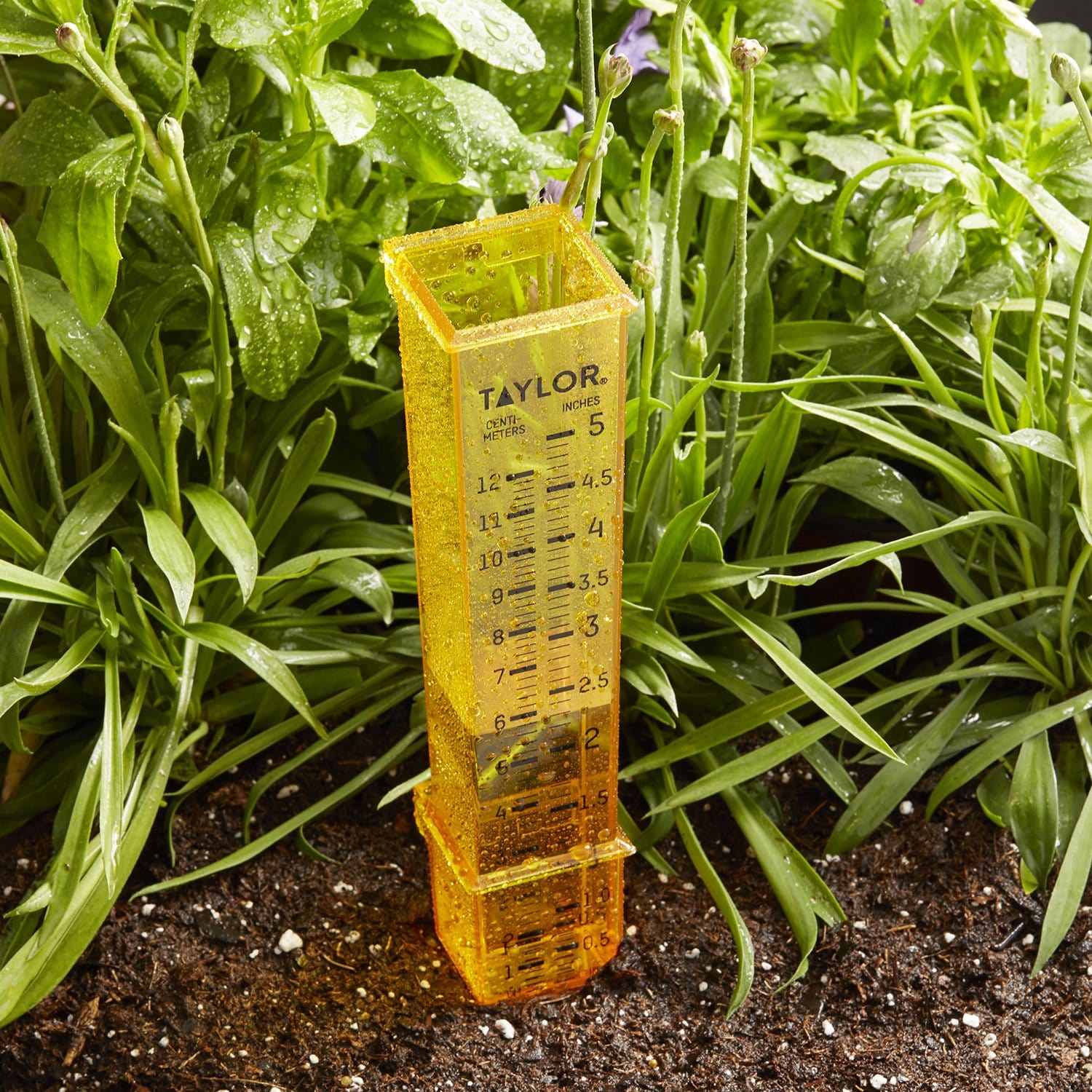 2 in 1 Rain and Sprinkler Gauge - Accurate Water Measurement Tool for Lawn & Garden Irrigation - Perfect for Monitoring Rainfall and Sprinkler System Efficiency