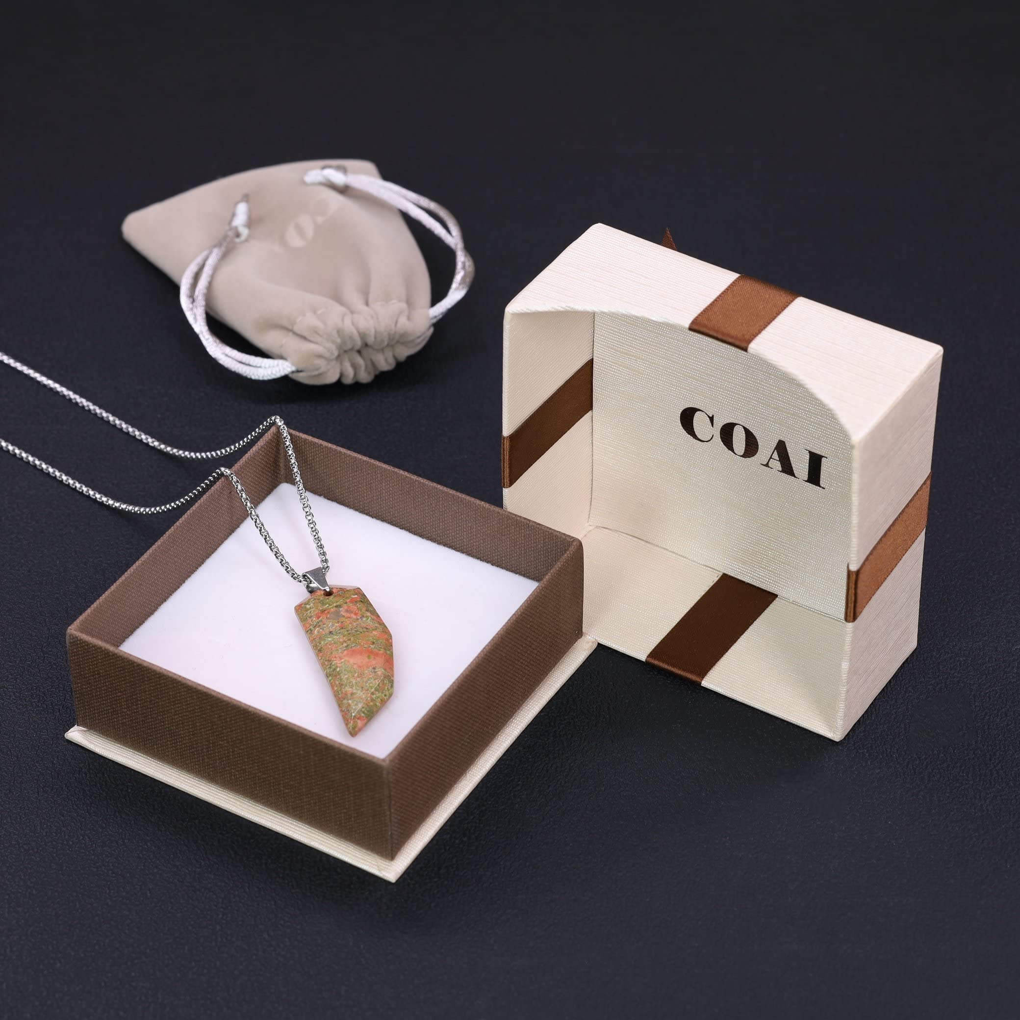 COAI Stainless Steel Wolf Tooth Pendant Necklace for Men & Women - Gothic Tribal Jewelry with Stone Accent - Perfect for Outdoor Adventures, Music Festivals and Biker Style