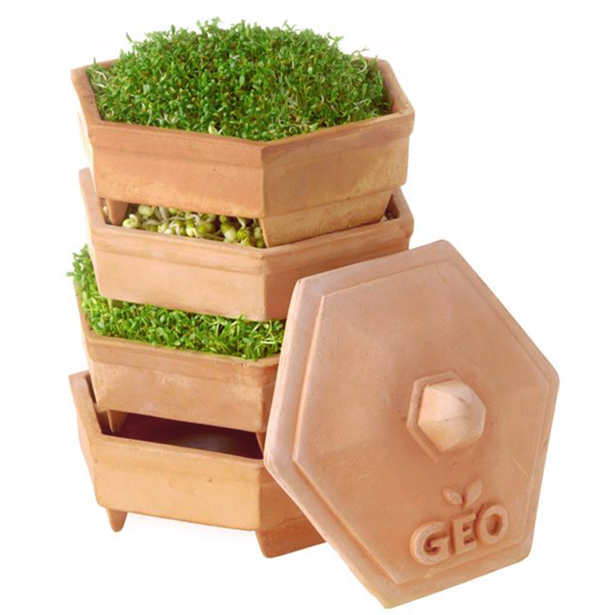 GEO Terradisiena 4-Tier Terracotta Sprouter - Organic Seed Sprouting Kit for Healthy Microgreens & Wheatgrass | Perfect for Indoor Gardening, Vegan Diet & Homegrown Superfoods