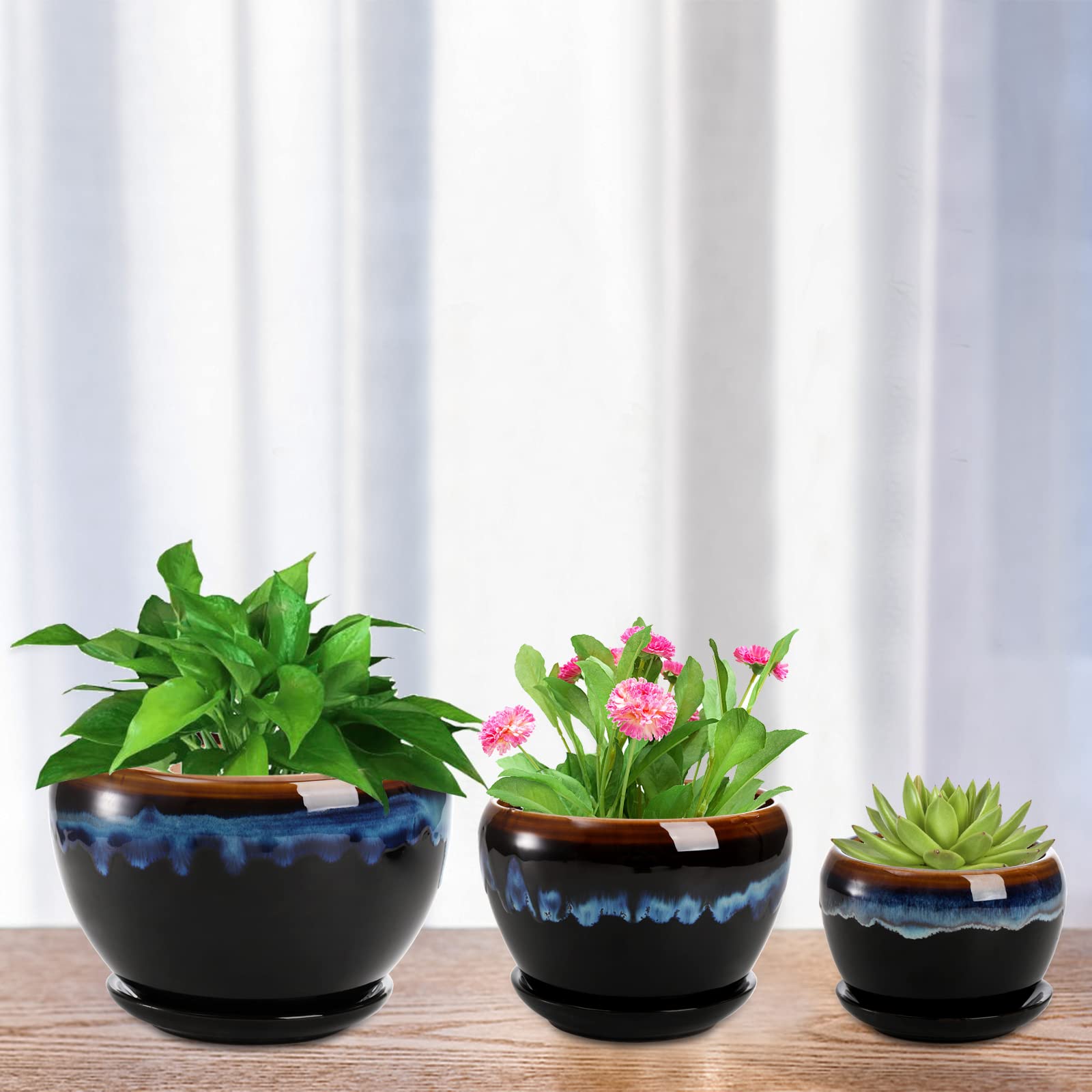 AVLA 3 Pack Ceramic Flower Pots with Drainage Hole & Saucer - Rustic Glazed Planters for Succulents, Herbs, Cactus, Orchid - Indoor Gardening, Home Office & Desktop Decor - Perfect for Windowsill, Kitchen Counter, and Living Room Display