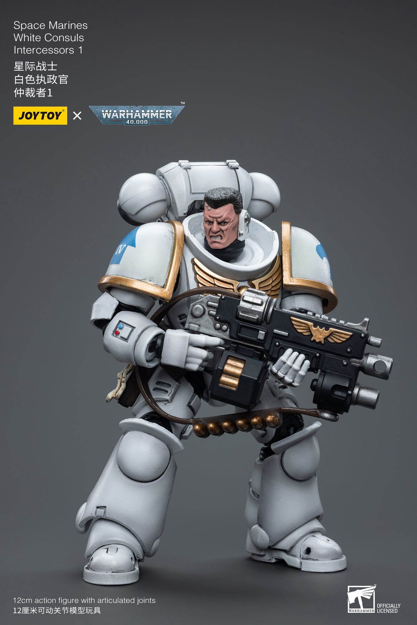 1/18 JOYTOY Warhammer 40K Space Marines White Consuls Intercessors Action Figure - Collectible Miniature for Tabletop Gaming & Display