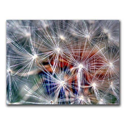 Trademark Fine Art CATeyes Faith Canvas Art Print - 18x24 Inches - Modern Wall Decor for Living Room, Bedroom & Office
