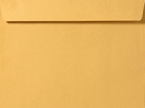 Premium Kraft Booklet Envelopes 9.5