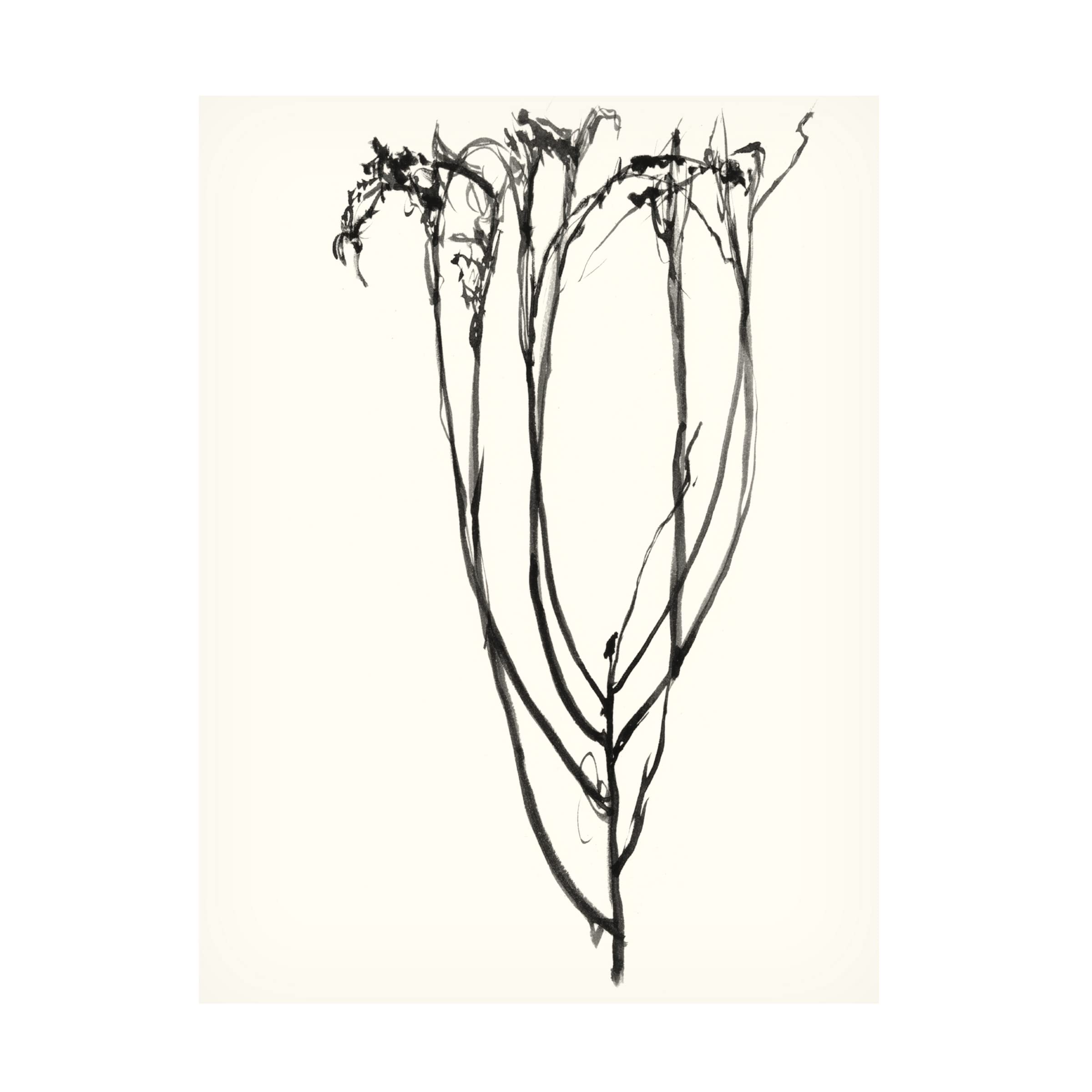 Jennifer Goldberger Naive Flower Sketch II Canvas Art Print - 35x47 Inch Floral Wall Decor for Living Room, Bedroom & Office | Trademark Fine Art Collection