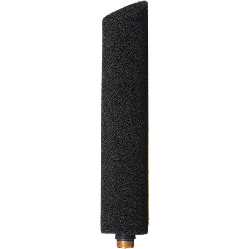 AKG 2765 Z 00240 CK80 Modular Hypercardioid Shotgun Microphone Capsule - Compatible with GN Series, HM 1000 & LM 3 Mic Housings - Perfect for Film, Broadcast & Studio Recording