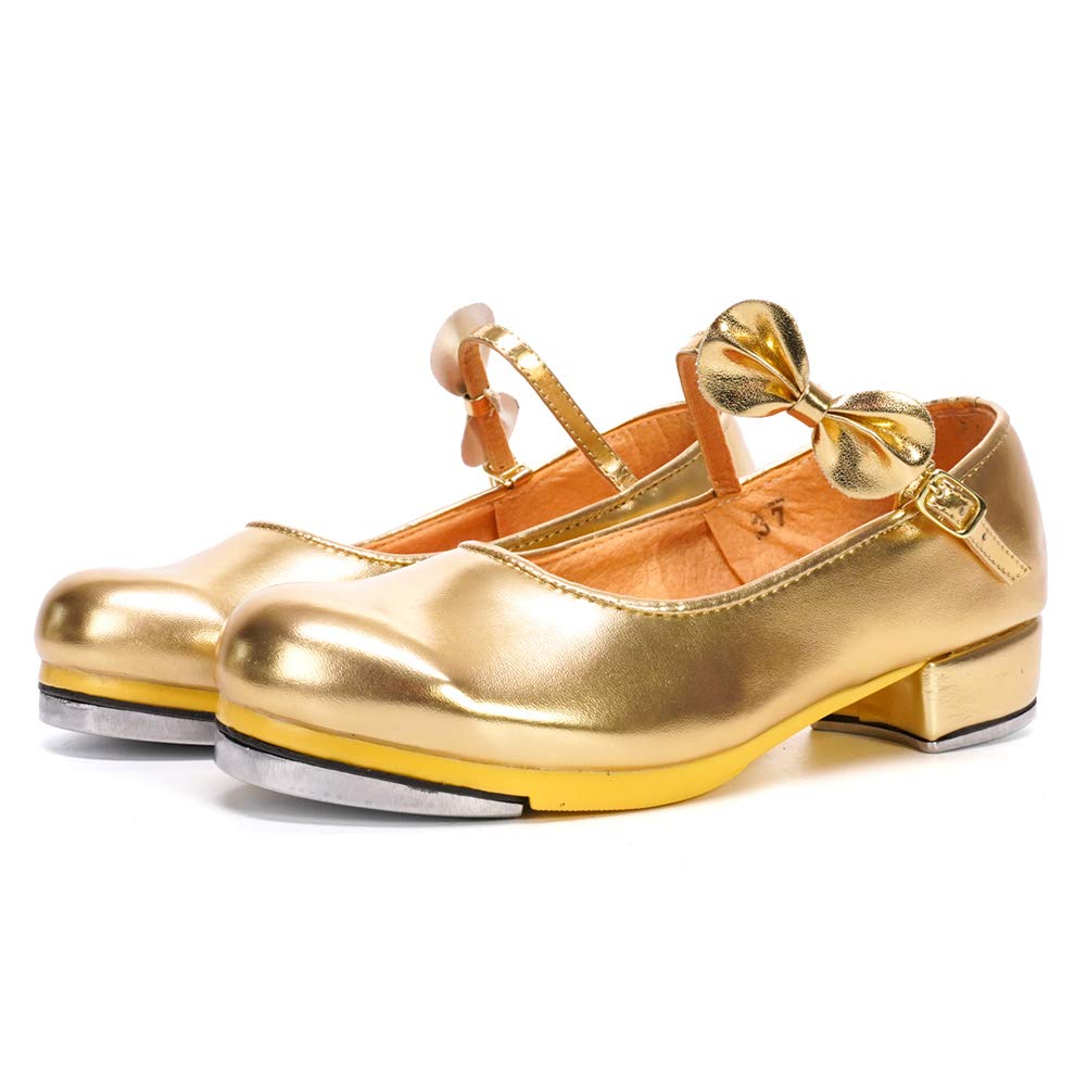 HROYL Kids Tap Shoes for Boys & Girls - TL208/258 for Dance & Performance
