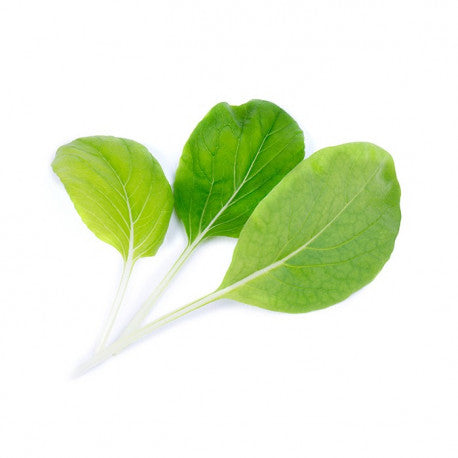 Organic Bok Choy - Fresh, Non-GMO, USDA Certified - Perfect for Stir-Fry, Soups & Healthy Asian Recipes
