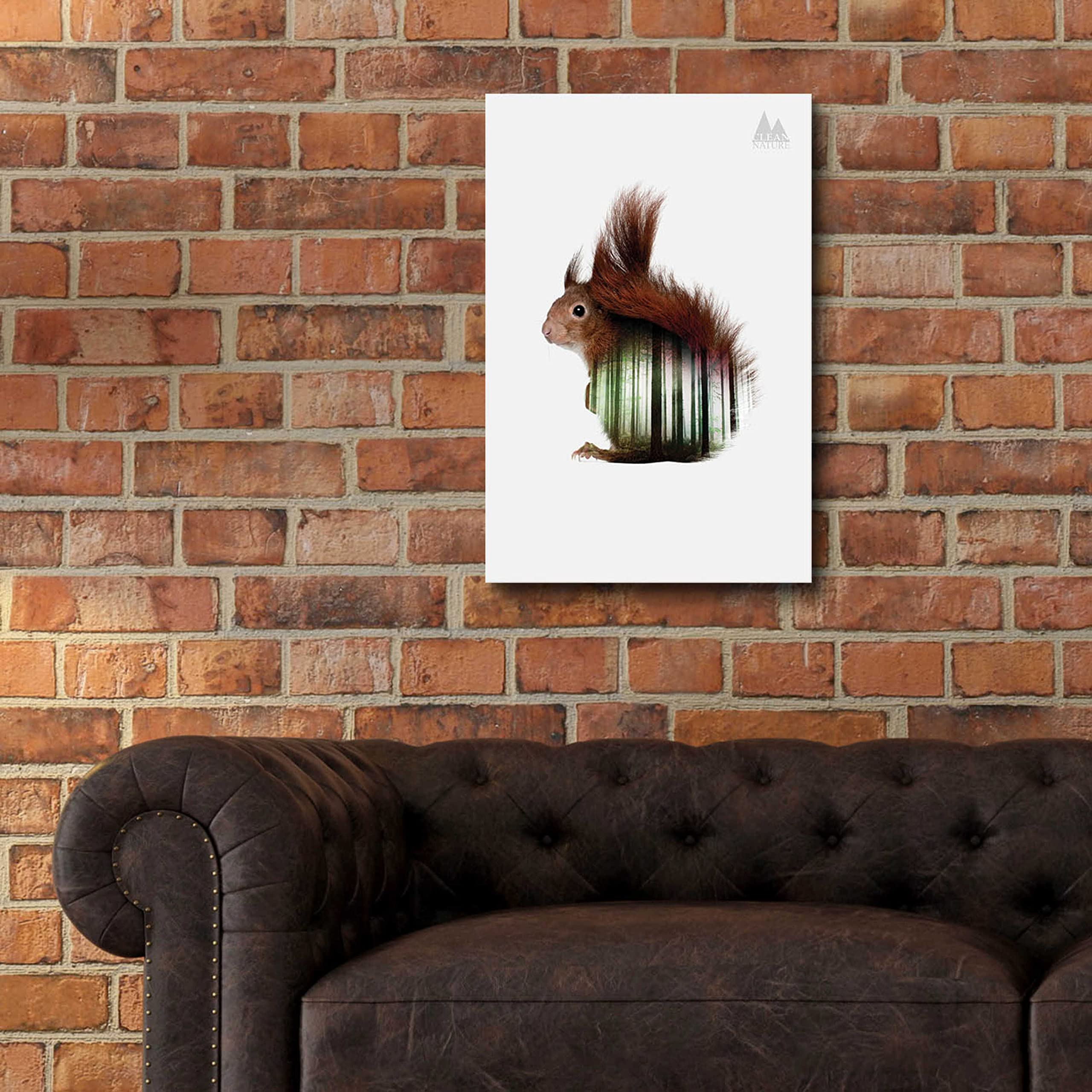 Epic Art 'Squirrel' by Clean Nature - Premium Acrylic Glass Wall Decor, 16x24 Inches - Perfect for Living Room, Bedroom & Office Decor