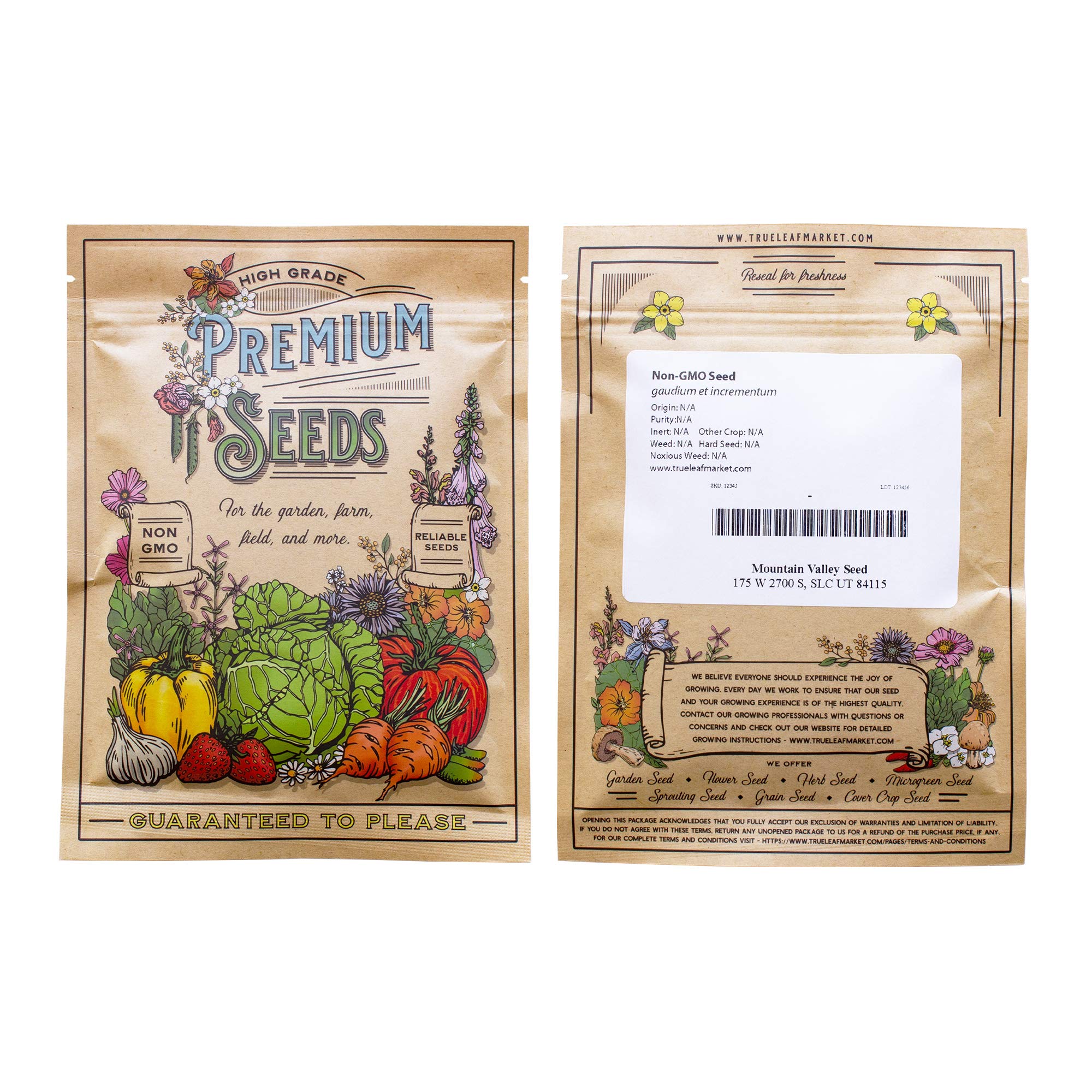 Organic White Russian Kale Seeds - 4 Oz Pack (~32,000 Seeds) | Non-GMO, Heirloom, Open-Pollinated | Perfect for Vegetable Gardens, Microgreens & Indoor Hydroponics | Grow Nutrient-Rich Superfood at Home
