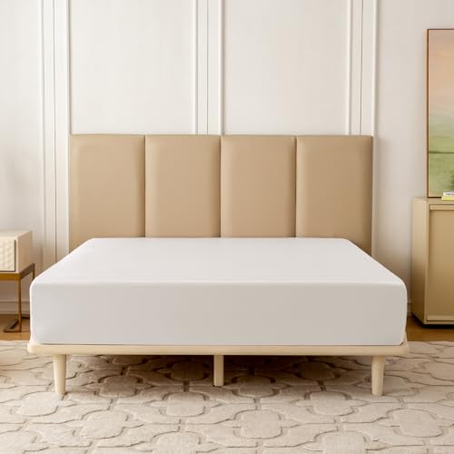 Cream White