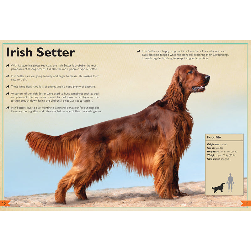 The Magnificent Book of Dogs - Comprehensive Guide to Dog Breeds, Care & Training | Perfect for Dog Lovers, Pet Owners & Veterinarians | Home, Office & Gift Use