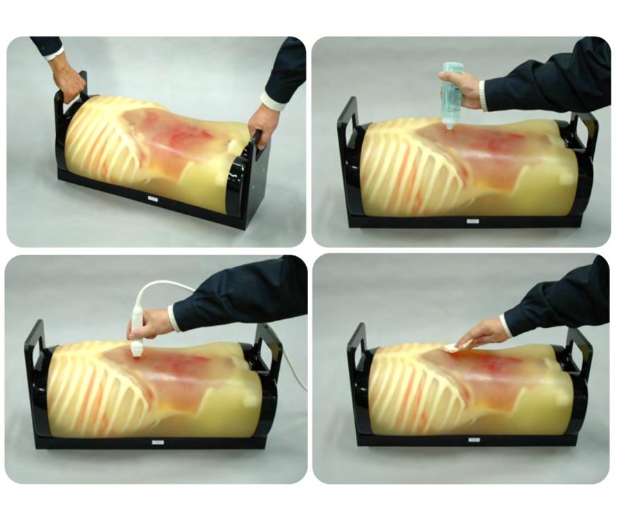 Fast Acute Abdomen Phantom - High-Quality FAST ER FAN Ultrasound Training Model for Trauma Sonography | Ideal for Medical Simulation, Emergency Room Training & Diagnostic Practice
