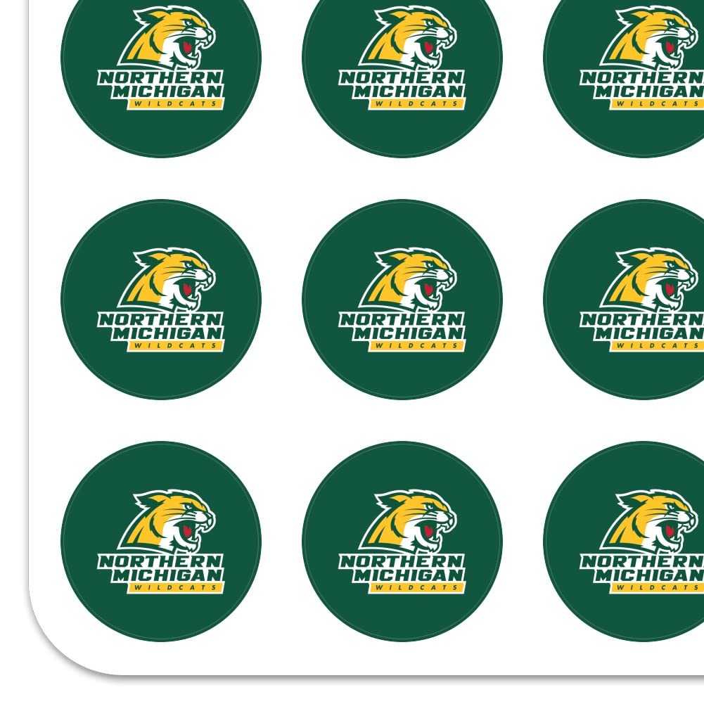 Northern Michigan Wildcats Logo 1