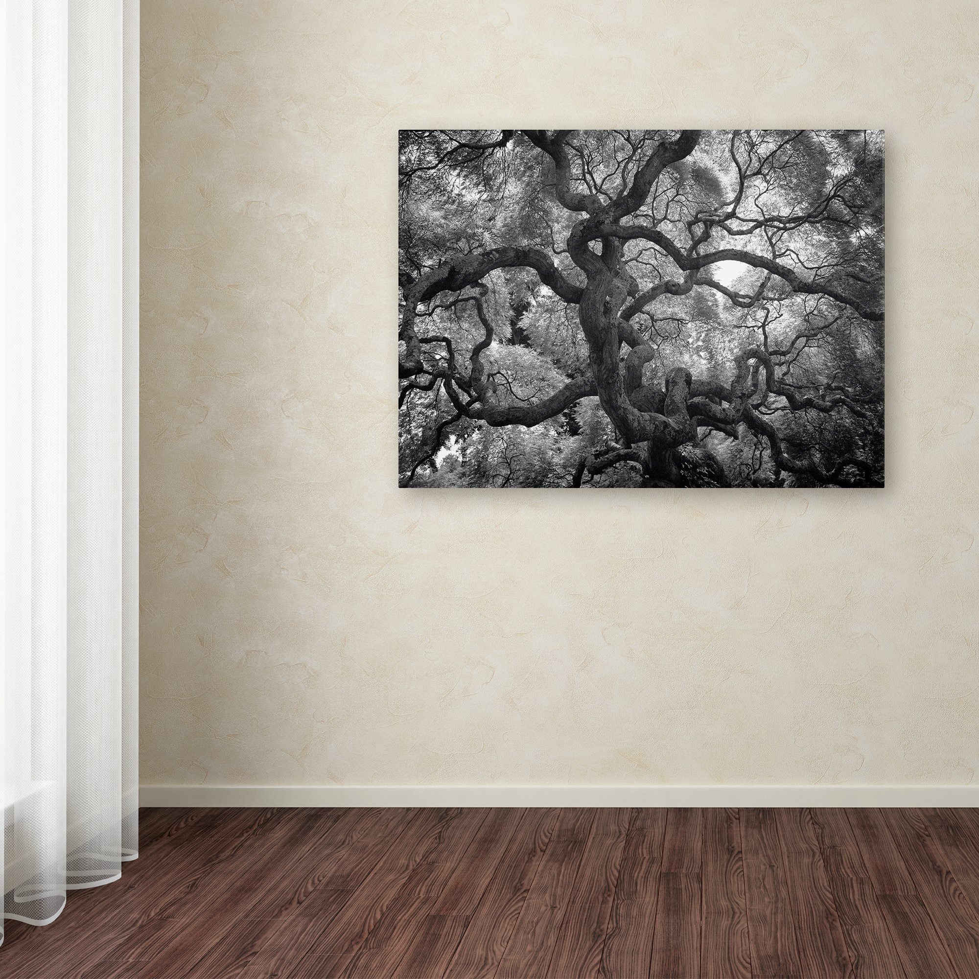 Trademark Art CATeyes Motivations Canvas Wall Art - 16x24 Inches - Inspirational Home Decor for Living Room, Bedroom & Office
