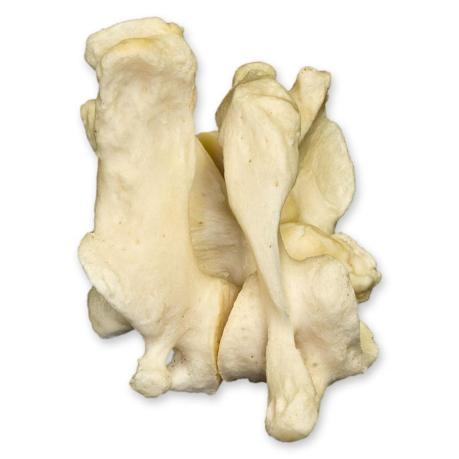 Real Human Atlas or Axis Vertebrae - Medical Specimen for Anatomy Study, Chiropractic Training & Educational Display - Perfect for Medical Schools, Research Labs & Chiropractic Offices