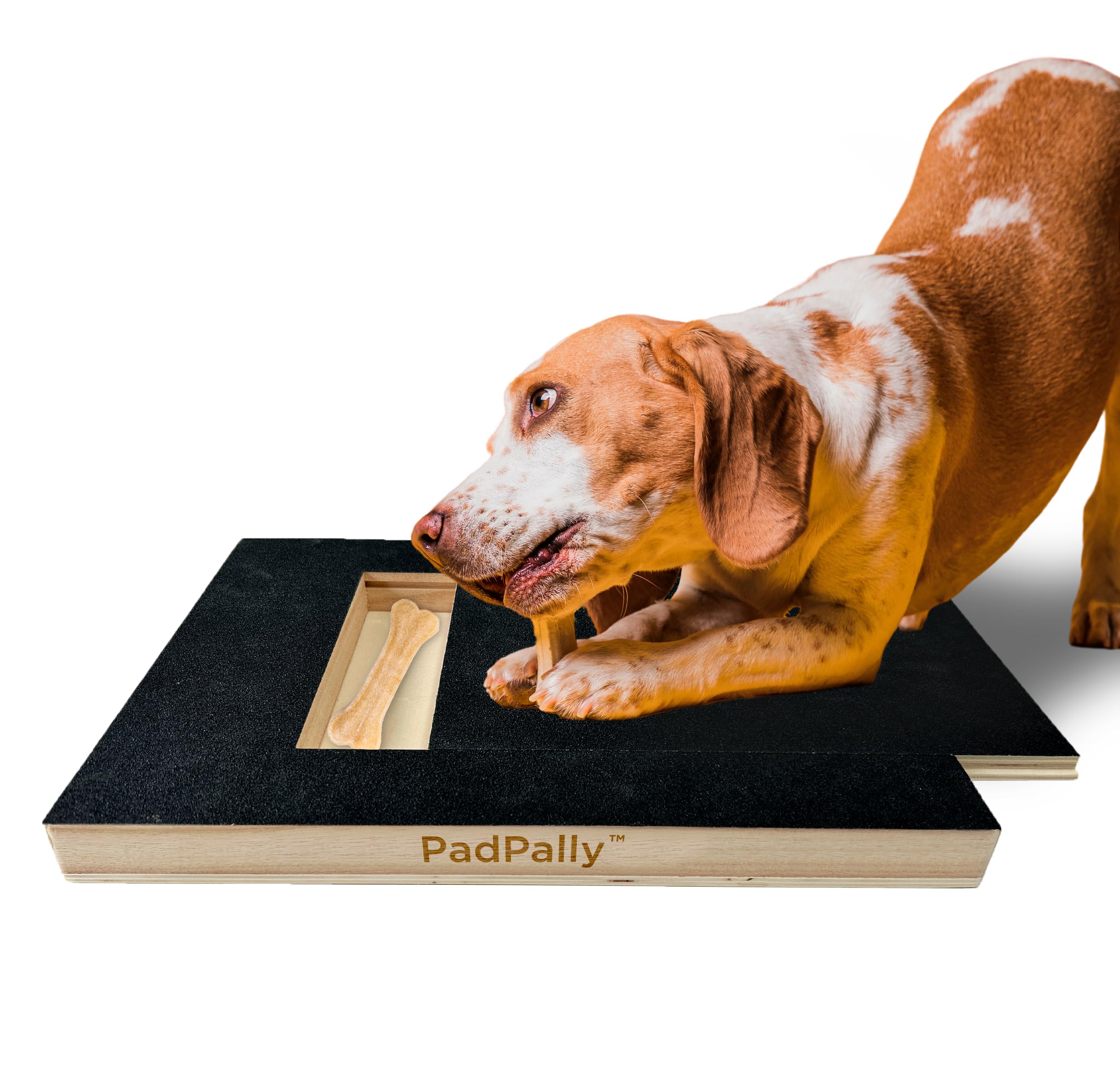 PadPally Dog Nail File Toy - Self-Scratching Board with Treat Box for Small & Large Dogs | Pet Nail Grinder & Scratch Pad for Grooming & Stress Relief - Perfect for Home, Travel & Vet Visits