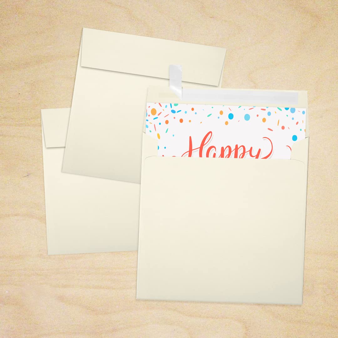 Premium LUXPaper Square Invitation Envelopes 5