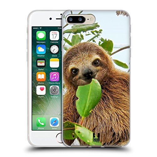 Three Toed Sloth