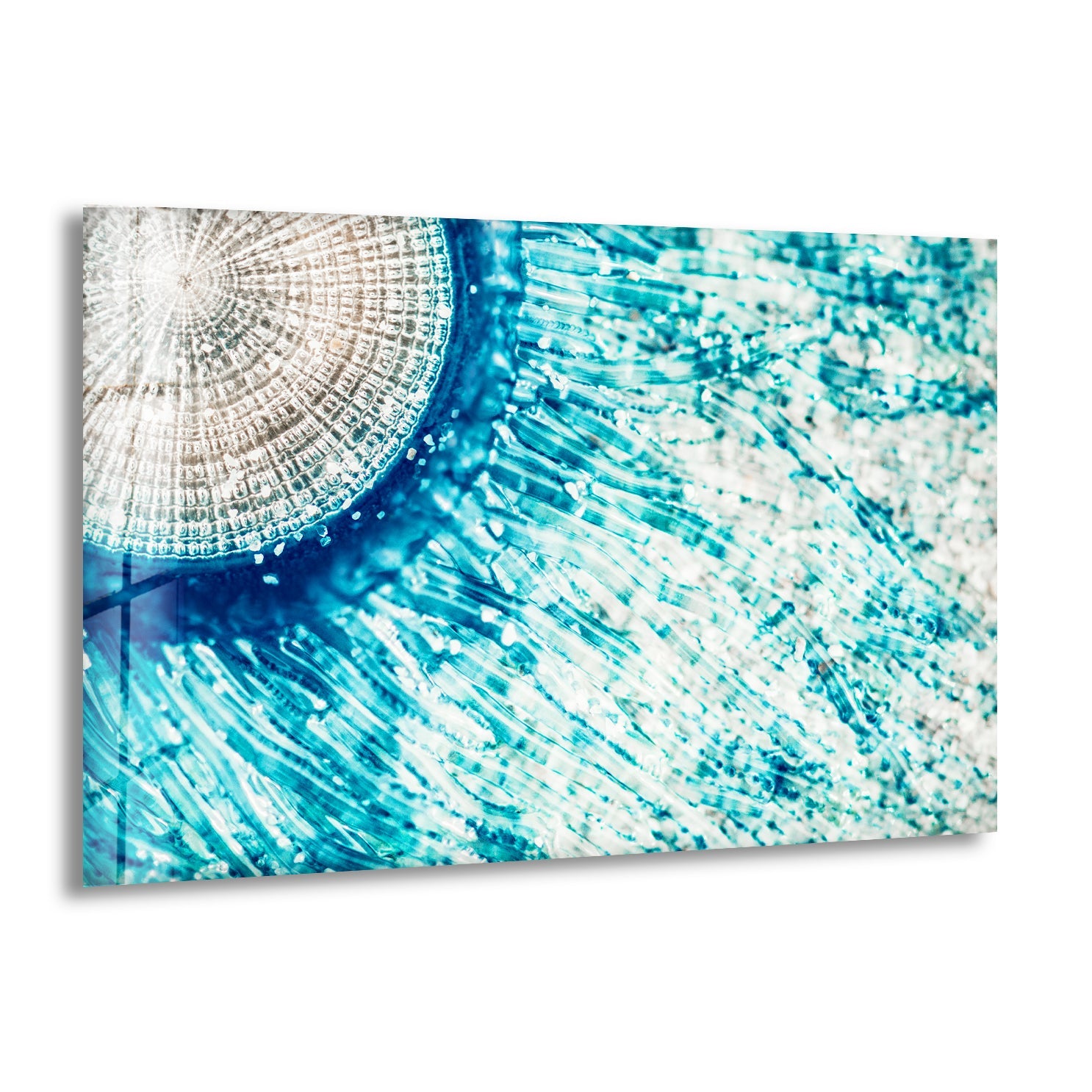 Blue Button Jellyfish Glass Wall Art - Handmade Ocean Themed Decor for Living Room, Bedroom & Office - Perfect Coastal Home Decor Gift