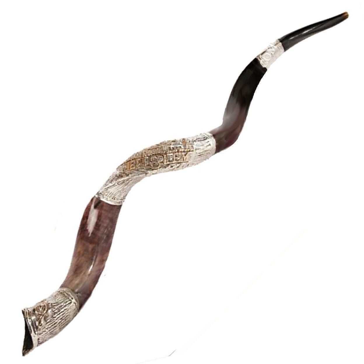 Natural Kosher Silver Plated Yemenite Shofar Kudu Horn - 35-39 Inches (90-99 cm) - Perfect for Jewish Holidays, Religious Ceremonies & Spiritual Practices